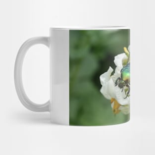 An insect on a hot summer day Mug